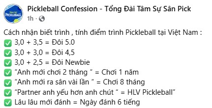 'Bảng xếp trình chuẩn nhất' gây xôn xao cộng đồng pickleball Việt Nam - Ảnh 1.