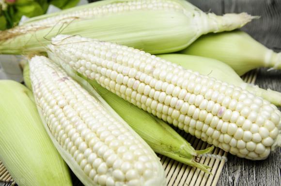 Chữ và nghĩa: Từ &quot;ngô&quot; đến &quot;bắp&quot; - Ảnh 1.