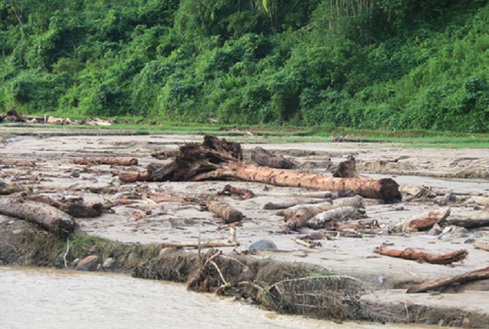 Ngẫm ngợi cuối tuần: Thủy tề lấy gỗ - Ảnh 1. Ngẫm ngợi cuối tuần: Thủy tề lấy gỗ - Ảnh 1.