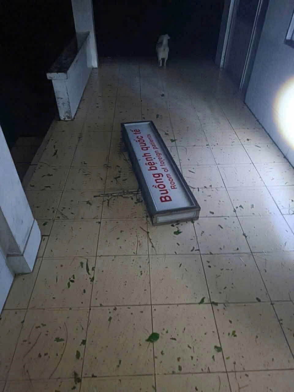 Cập nhật mới nhất tin bão số 13: Quy Nhơn gồng minh chống bão  - Ảnh 10.