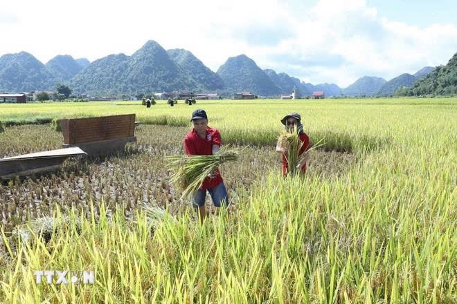 Vì một miền quê đáng sống: "Chuyện một miền quê sống cùng đất trời…" - Ảnh 2. Vì một miền quê đáng sống: "Chuyện một miền quê sống cùng đất trời…" - Ảnh 2.