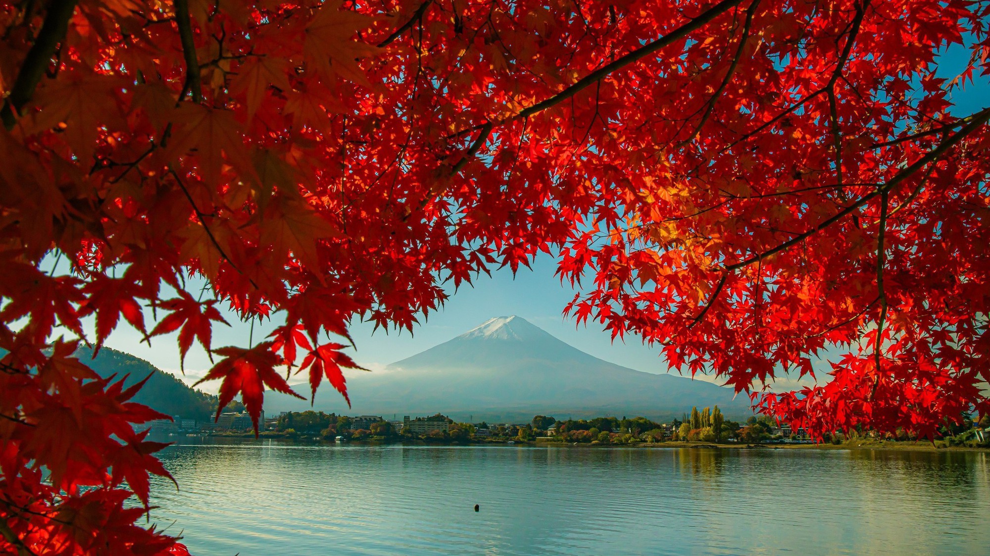 Vẻ đẹp ngỡ ngàng của núi Phú Sĩ mùa Thu