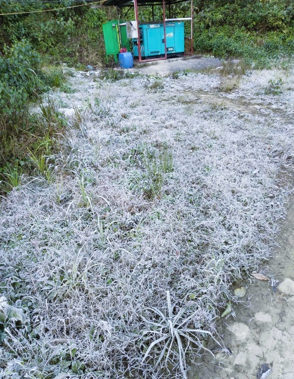 Xuất hiện băng giá, Bộ đội Biên phòng hỗ trợ người dân vùng cao phòng, chống rét - Ảnh 2.