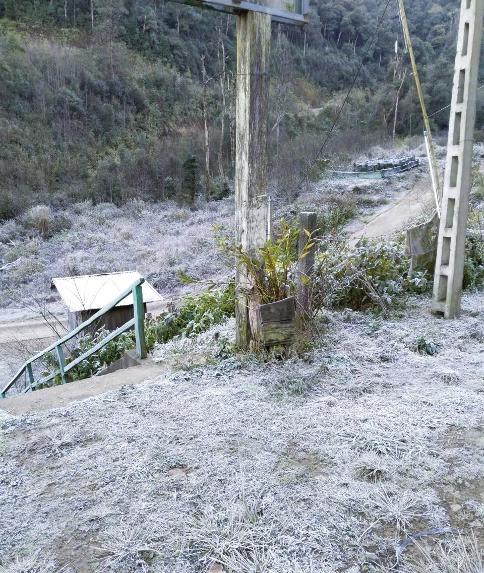 Xuất hiện băng giá, Bộ đội Biên phòng hỗ trợ người dân vùng cao phòng, chống rét - Ảnh 3.