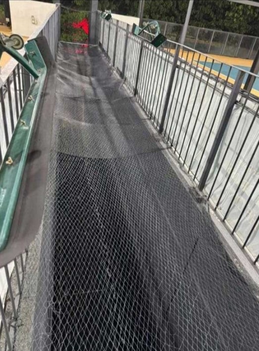 Người đàn ông 32 tuổi bị rơi xuống tử vong khi chơi pickleball trên sân thượng - Ảnh 2. Người đàn ông 32 tuổi bị rơi xuống tử vong khi chơi pickleball trên sân thượng - Ảnh 2.