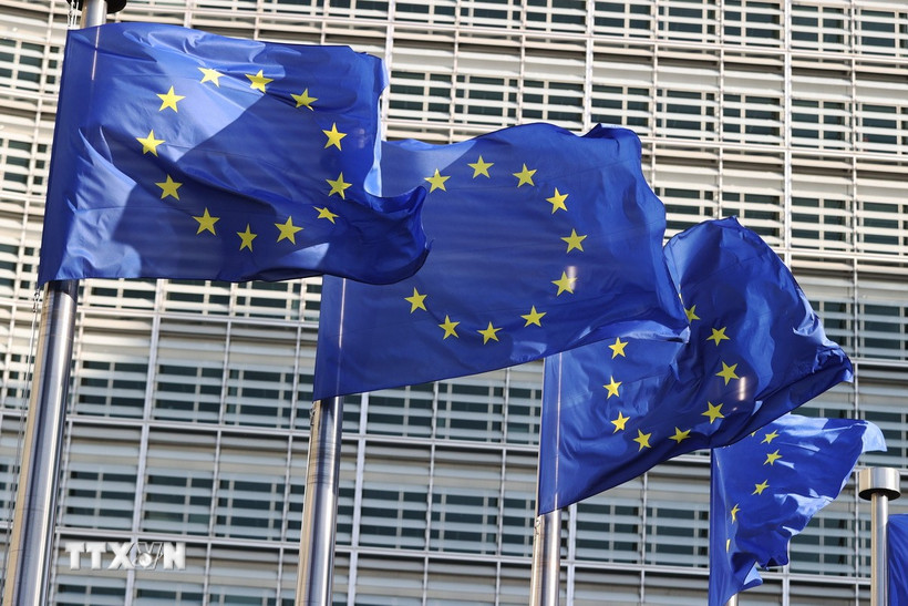 Thế giới 2025: Nỗ lực toàn cầu trong đảm bảo sử dụng trí tuệ nhân tạo (AI) an toàn, trách nhiệm - Ảnh 5.