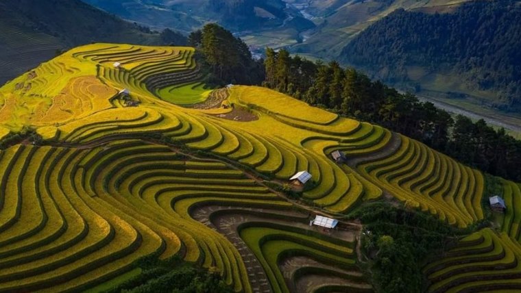 Hành trình khám phá các điểm du lịch Hà Giang theo cách trọn vẹn và bản địa nhất  - Ảnh 1.