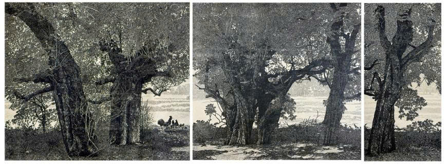 Hơn 1.300 tác phẩm vẽ về di sản văn hóa Việt Nam: Lan tỏa tình yêu và cảm hứng sáng tạo - Ảnh 3. Hơn 1.300 tác phẩm vẽ về di sản văn hóa Việt Nam: Lan tỏa tình yêu và cảm hứng sáng tạo - Ảnh 3.