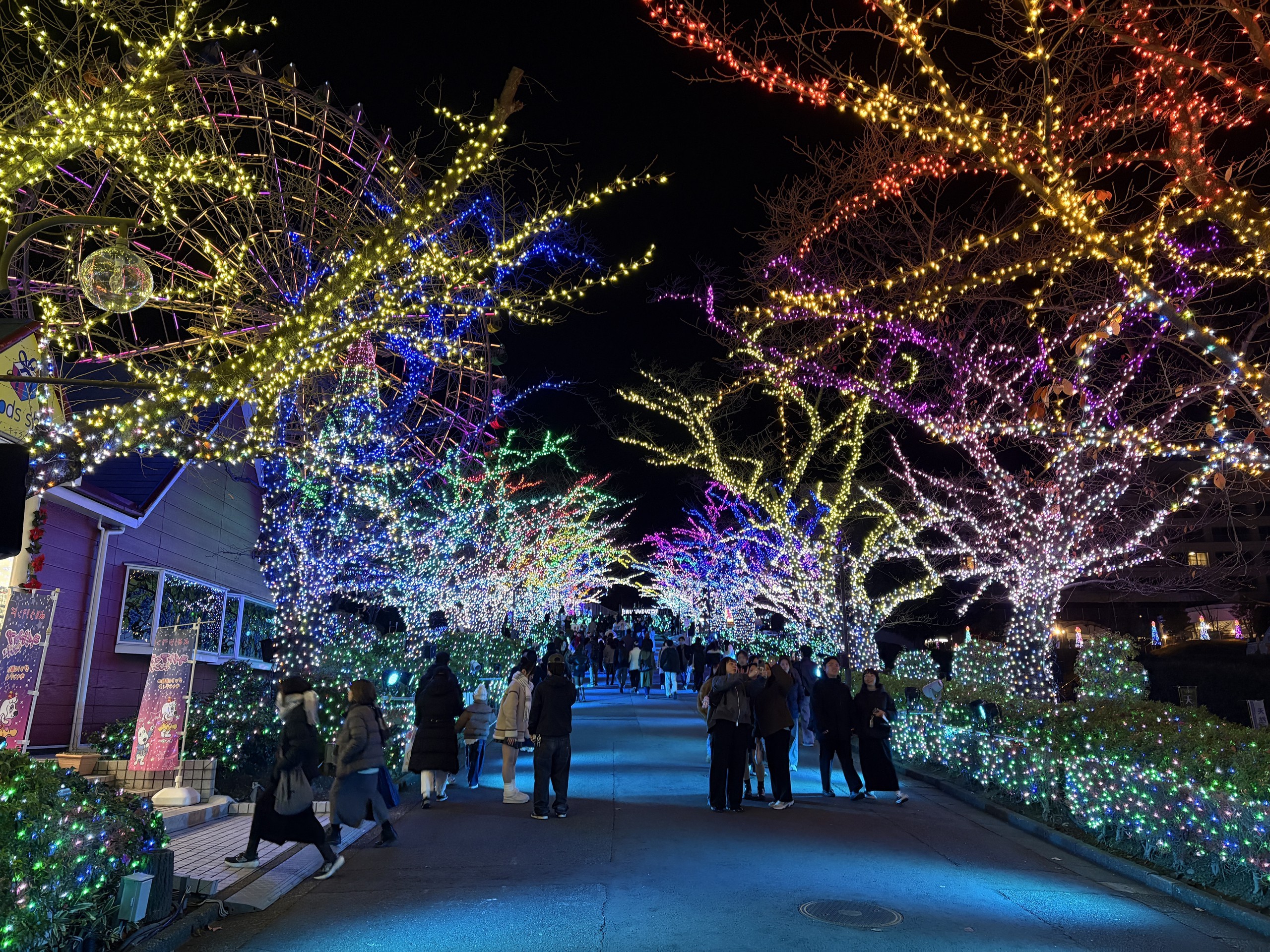 Yomiuri Land - Jewellumination: Đại tiệc ánh sáng rực rỡ giữa Tokyo - Ảnh 9.