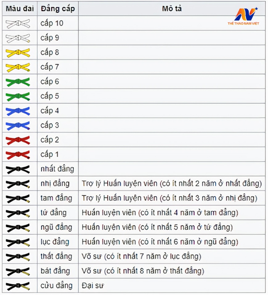 Cửu đẳng huyền đai là gì, danh giá ra sao trong làng taekwondo thế giới? - Ảnh 2.