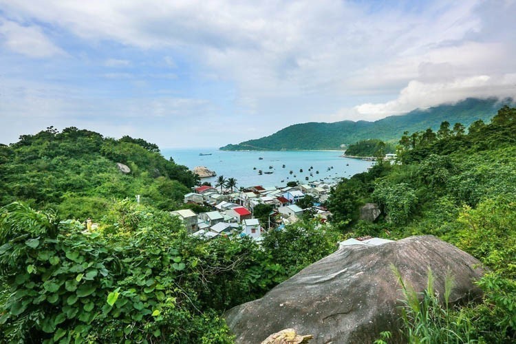 Ngày Quốc tế đa dạng sinh học (22/5): “Sống hài hòa với thiên nhiên và phát triển bền vững” - Ảnh 12.
