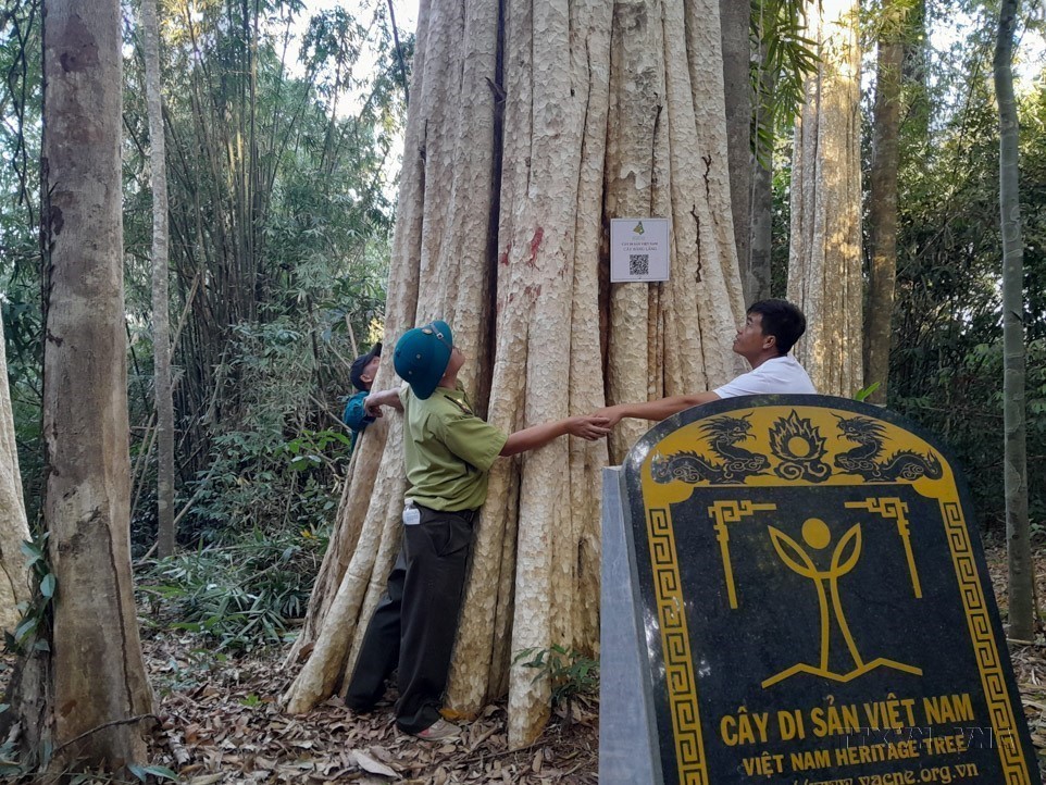 Ngày Quốc tế đa dạng sinh học (22/5): “Sống hài hòa với thiên nhiên và phát triển bền vững” - Ảnh 8.