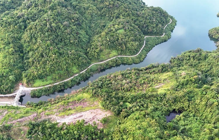 Ngày Quốc tế đa dạng sinh học (22/5): “Sống hài hòa với thiên nhiên và phát triển bền vững” - Ảnh 4.