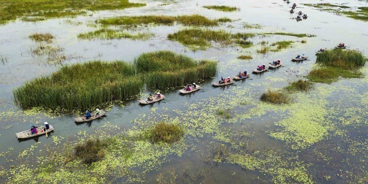 Ngày Quốc tế đa dạng sinh học (22/5): “Sống hài hòa với thiên nhiên và phát triển bền vững” - Ảnh 1.