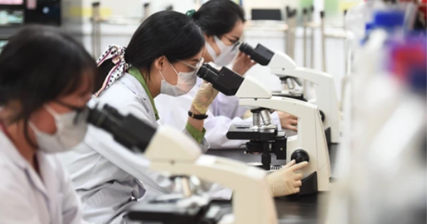 Những chính sách nổi bật có hiệu lực trong tháng 6/2025: Dừng cấp thẻ Bảo hiểm y tế giấy - Ảnh 2.