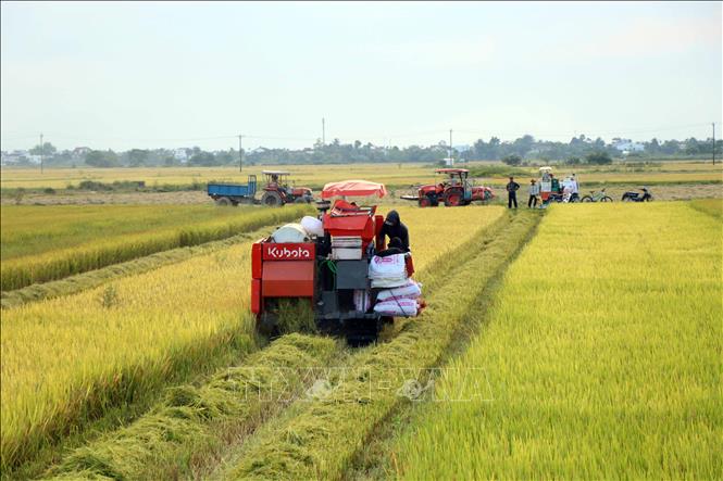 Từ ngày 10/5, nắng nóng diện rộng sẽ kết thúc ở Bắc Bộ và Trung Bộ - Ảnh 2. Từ ngày 10/5, nắng nóng diện rộng sẽ kết thúc ở Bắc Bộ và Trung Bộ - Ảnh 2.
