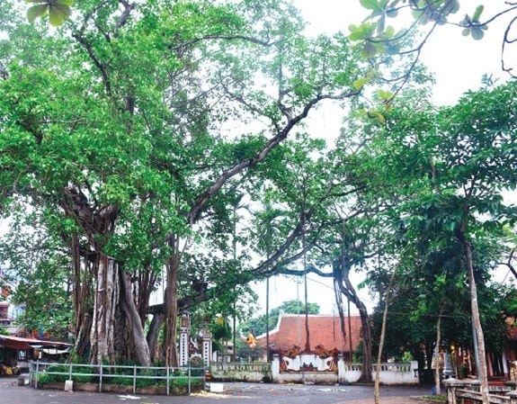 Hà Nội xếp hạng 9 di tích lịch sử - văn hóa và danh lam thắng cảnh - Ảnh 1.