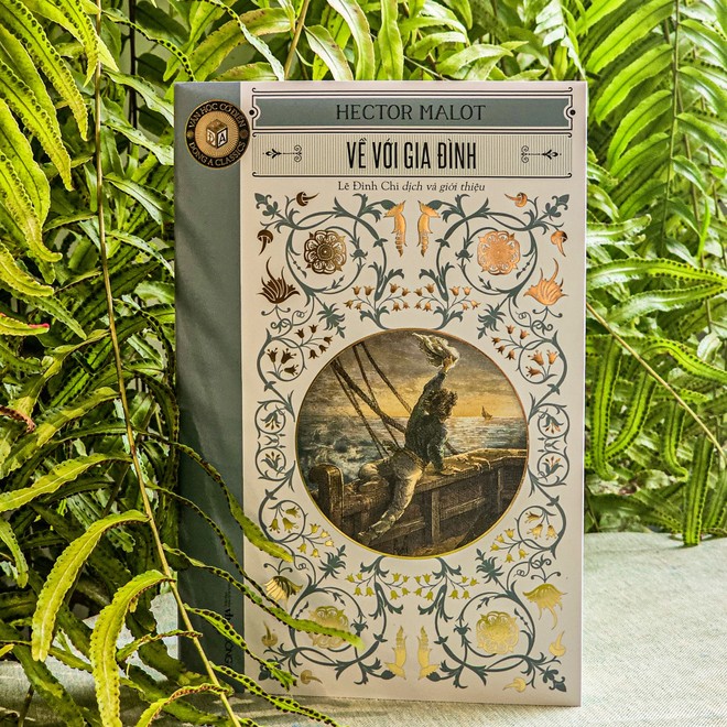 Sau 'Không gia đình', độc giả Việt Nam lại xúc động cùng Hector Malot trong 'Về với gia đình' - Ảnh 1.