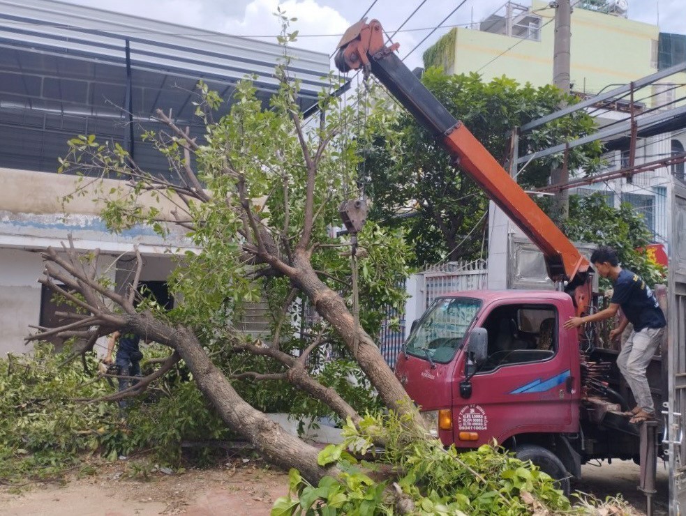 TP. Hồ Chí Minh lên phương án chống ngập lụt, cây đổ trong mùa mưa bão - Ảnh 3.