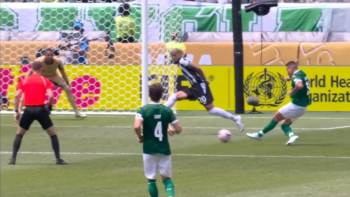 Palmeiras
