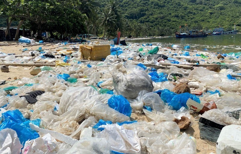 Ngày Môi trường Thế giới 5/6 và Tháng hành động vì môi trường năm 2025: “Chống ô nhiễm nhựa” - Ảnh 17.