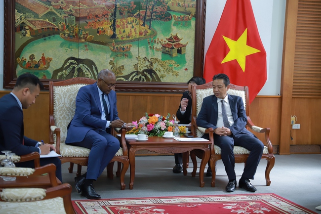 Thứ trưởng Hoàng Đạo Cương tiếp và làm việc với ứng cử viên Tổng giám đốc UNESCO - Ảnh 1.