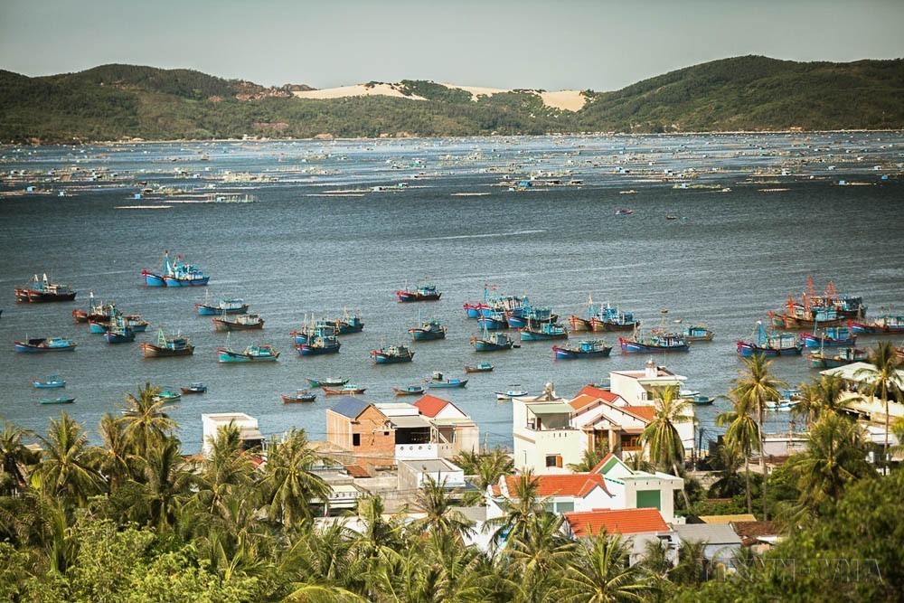 Ngày Đại dương thế giới 8/6: Bảo tồn và sử dụng bền vững đại dương - Ảnh 6. Ngày Đại dương thế giới 8/6: Bảo tồn và sử dụng bền vững đại dương - Ảnh 6.