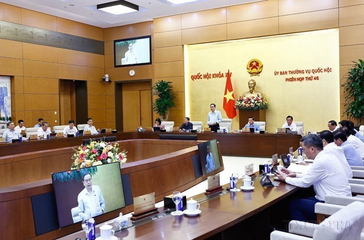 Ngày Dân số thế giới (11/7): Quyền sinh sản trong một thế giới nhiều biến động - toàn cảnh và góc nhìn Việt Nam - Ảnh 5.