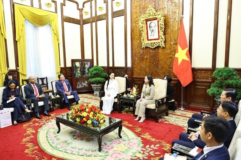Phó Chủ tịch nước Võ Thị Ánh Xuân tiếp nữ phi hành gia Amanda Nguyễn - Ảnh 2.