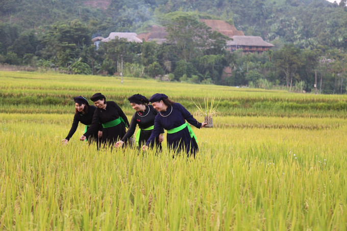 Di sản văn hóa Lào Cai - "Mỏ vàng" phát triển du lịch - Ảnh 3. Di sản văn hóa Lào Cai - "Mỏ vàng" phát triển du lịch - Ảnh 3.