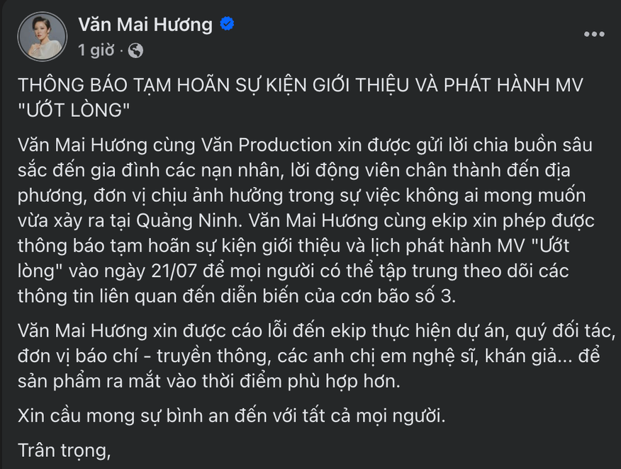 Văn Mai Hương, Thanh Duy,... hoãn lịch trình cá nhân trước diễn biến của bão Wipha - Ảnh 5.