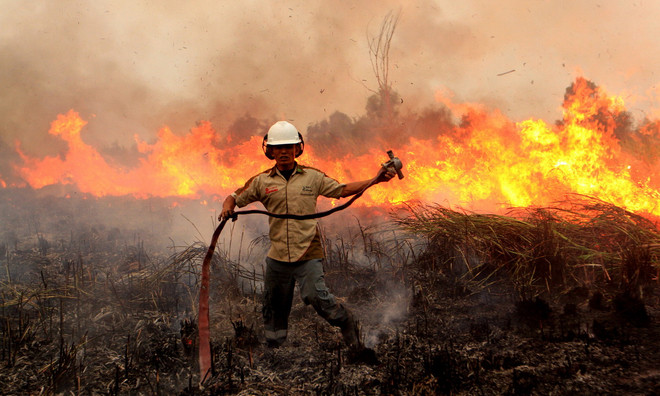 Indonesia kích hoạt mưa nhân tạo nhằm dập tắt cháy rừng - Ảnh 1.