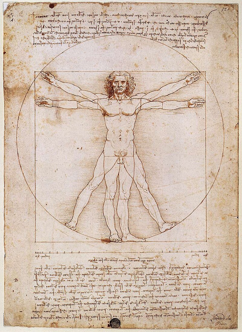 Chuyên gia Anh công bố bí mật ẩn giấu trong kiệt tác “Người Vitruvius” của Leonardo da Vinci - Ảnh 1.