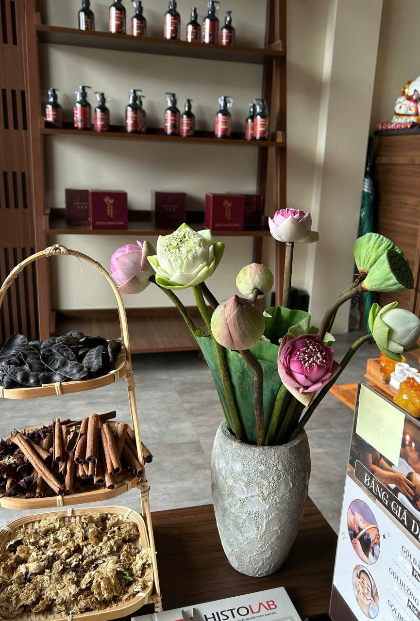 Bí quyết sắc đẹp bằng những liệu trình từ thiên nhiên - Ảnh 2.
