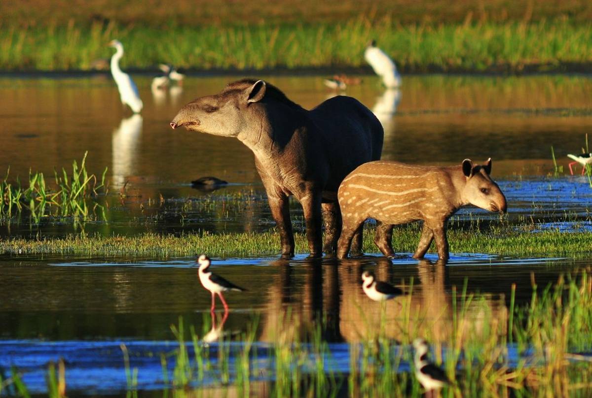 Khám phá Brazil: Những điểm đến không thể bỏ qua - Ảnh 18.