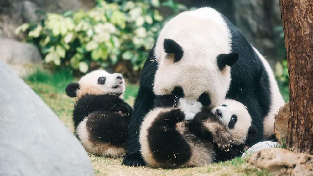 Nắm tay nhau đi trốn: Những thiên đường lãng mạn cho hai người tại Hong Kong Summer Viv - Ảnh 2.