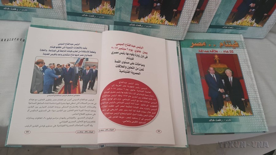 Chủ tịch nước Lương Cường thăm cấp Nhà nước Cộng hòa Arab Ai Cập: Mở ra không gian hợp tác mới giữa Việt Nam và Ai Cập - Ảnh 7.