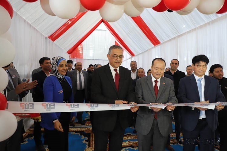 Chủ tịch nước Lương Cường thăm cấp Nhà nước Cộng hòa Arab Ai Cập: Mở ra không gian hợp tác mới giữa Việt Nam và Ai Cập - Ảnh 5.