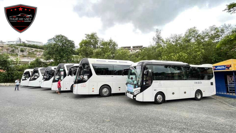 Thuê Xe Việt - Cung cấp giải pháp thuê xe du lịch chất lượng hàng đầu - Ảnh 3.