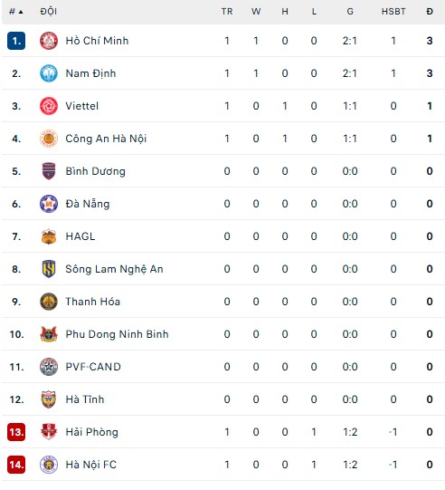 ĐKVĐ V-League khởi đầu chật vật với chiến thắng ngược dòng trước Hải Phòng FC - Ảnh 2.