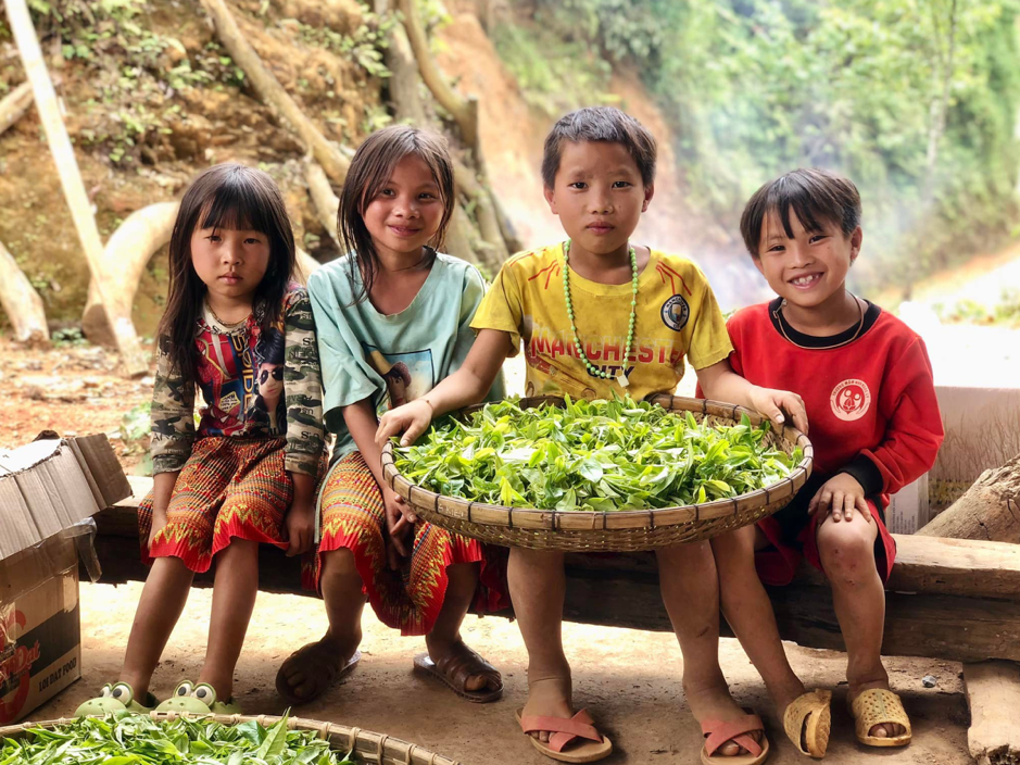 Dòng chảy trà Việt Nam đương đại (kỳ 7 & hết): Hương trà của văn hiến ngàn năm - Ảnh 6.