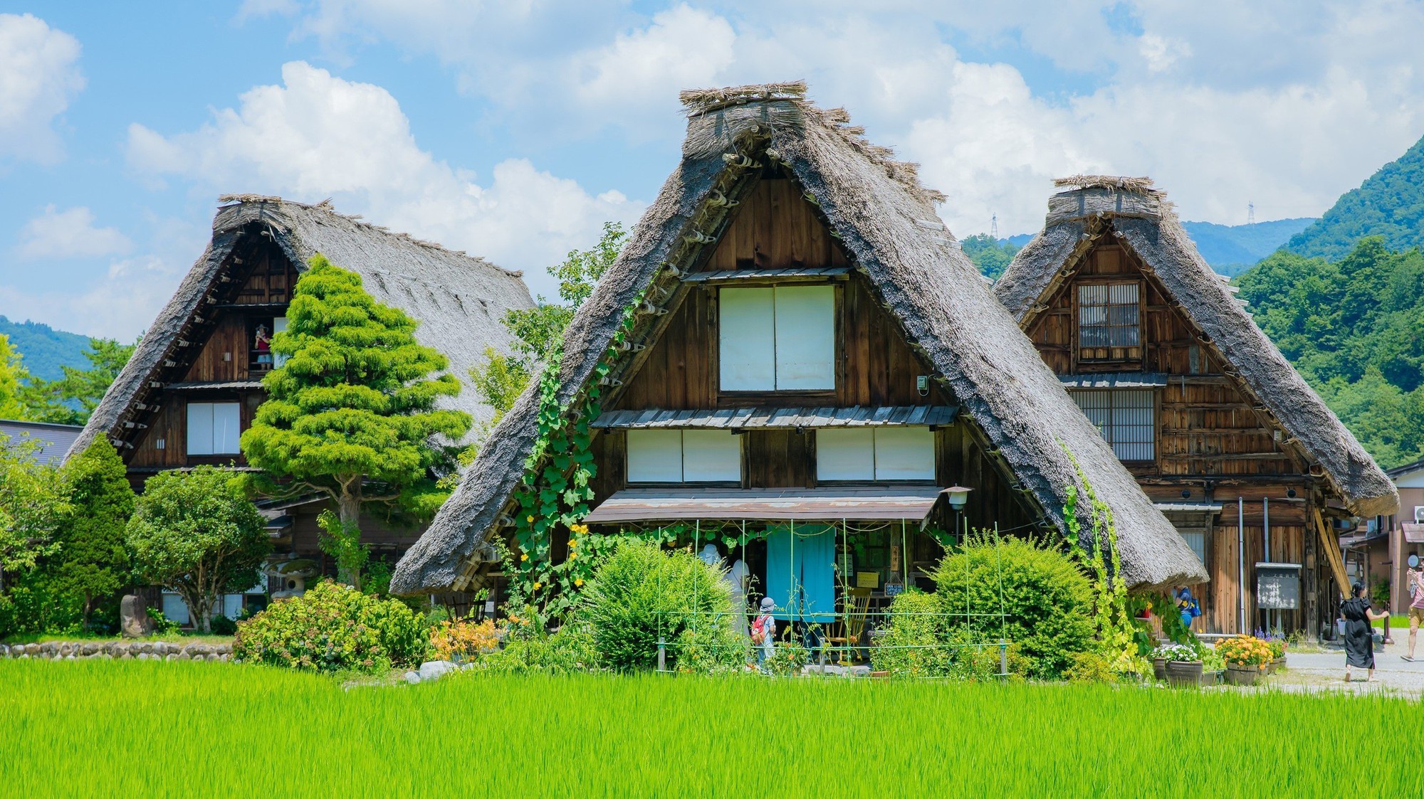 Shirakawago và Gokayama - nét đẹp cổ kính giữa núi rừng Nhật Bản