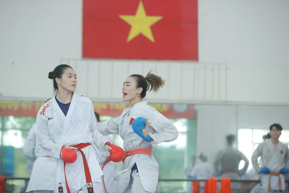 Thể thao Việt Nam đặt mục tiêu giành 100 HCV tại SEA Games 2025 - Ảnh 1.