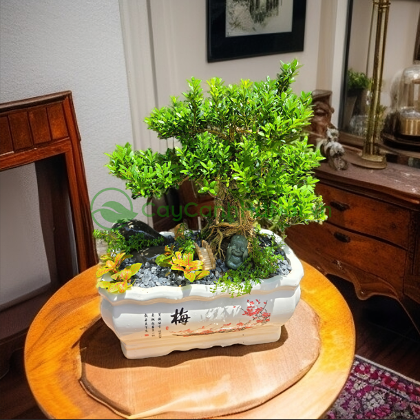 Trang trí lớp học với cây cảnh mini – Tăng cảm hứng học tập dịp khai giảng - Ảnh 3.