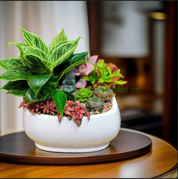 Trang trí lớp học với cây cảnh mini – Tăng cảm hứng học tập dịp khai giảng - Ảnh 5.