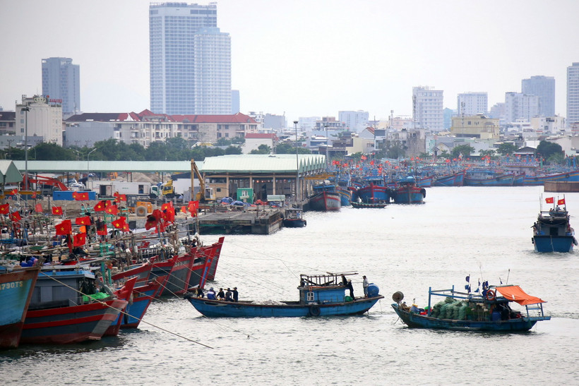 Các địa phương lên phương án ứng phó với bão số 5 - Ảnh 1.