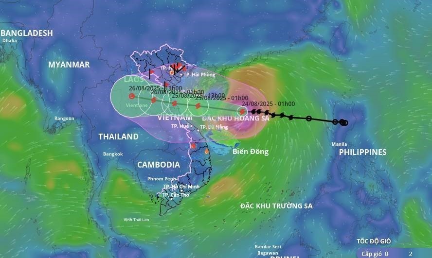 Thứ trưởng Lê Công Thành: Theo dõi sát bão số 5, đưa ra những dự báo sát thực tế để giảm thiệt hại - Ảnh 1.