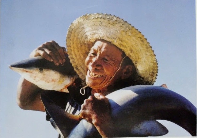 Những khoảnh khắc làm nên vinh quang của nhiếp ảnh Việt Nam  - Ảnh 13.