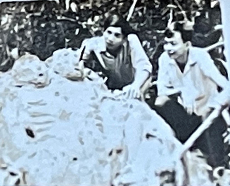 thanhthao-17565265752021658554505.jpg