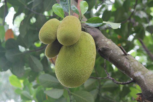 Chữ và nghĩa: Ai về nhắn với nậu nguồn - Ảnh 1.
